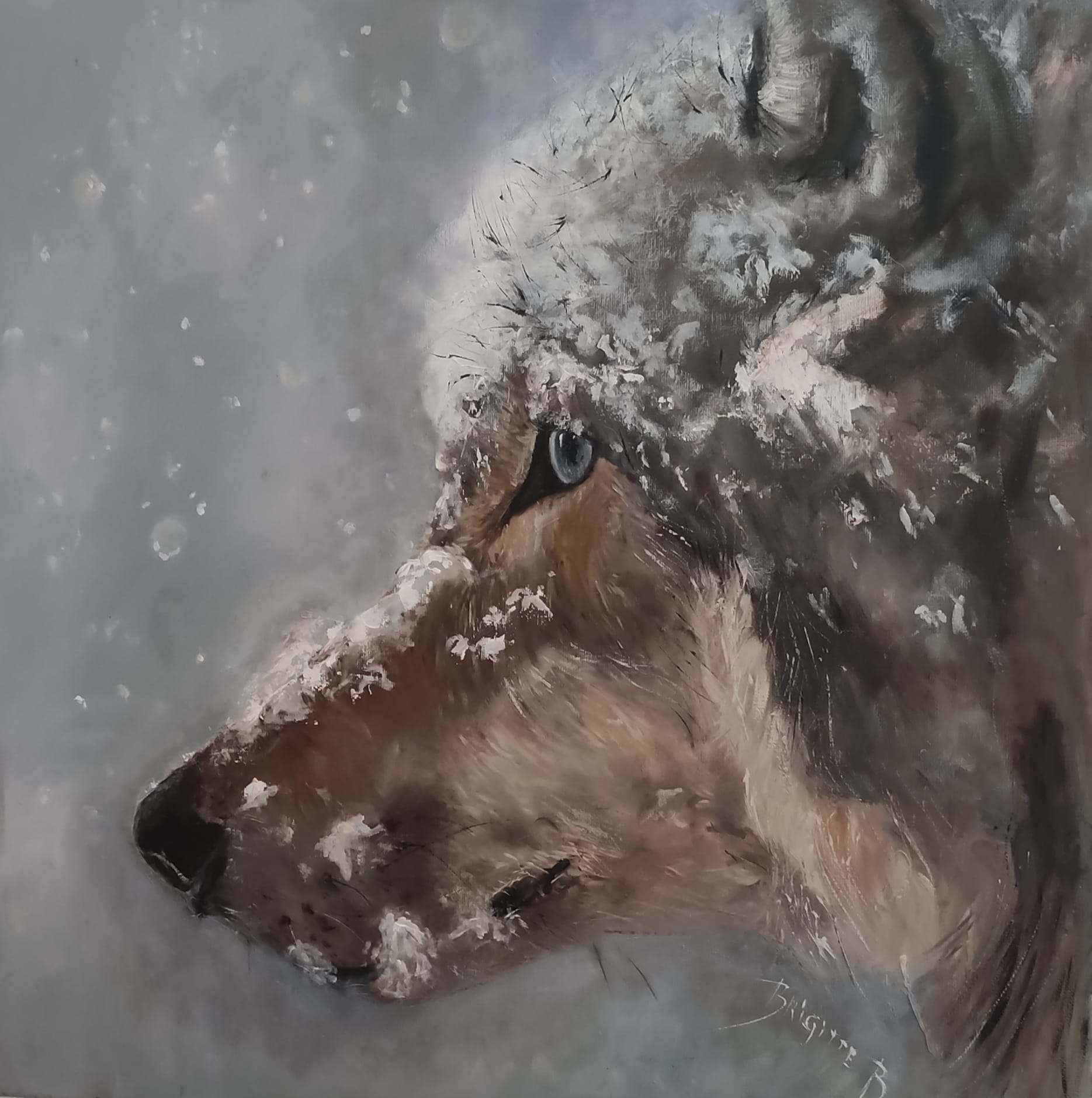 Flocons qui dansent avec le loup